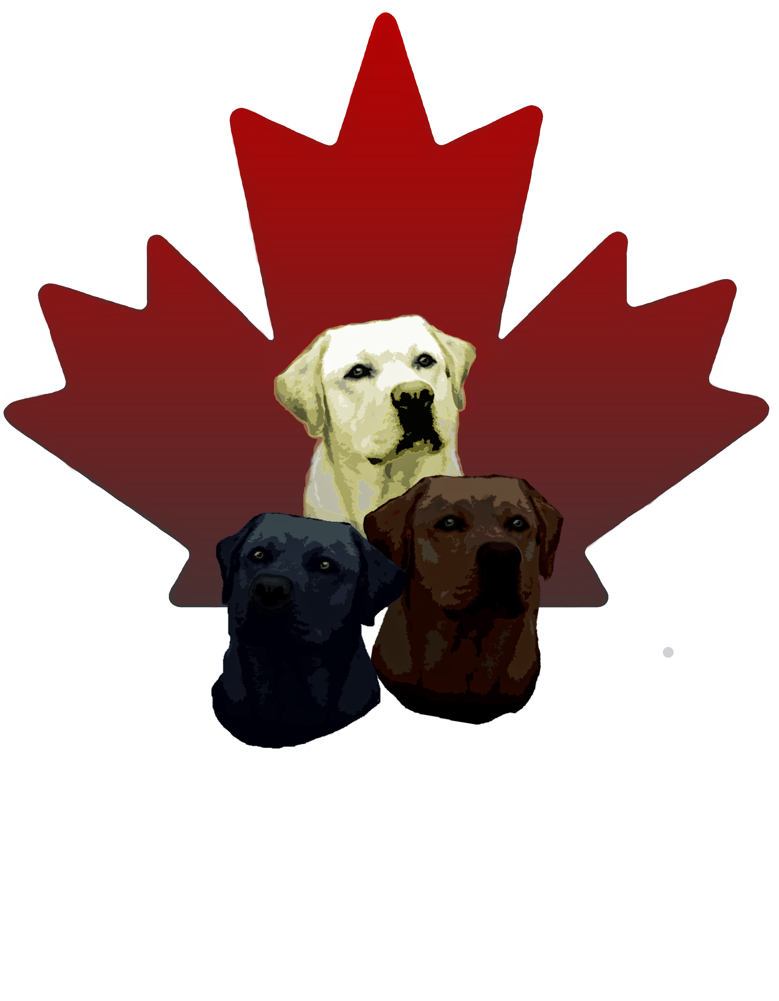 Kriscoland labradors sales